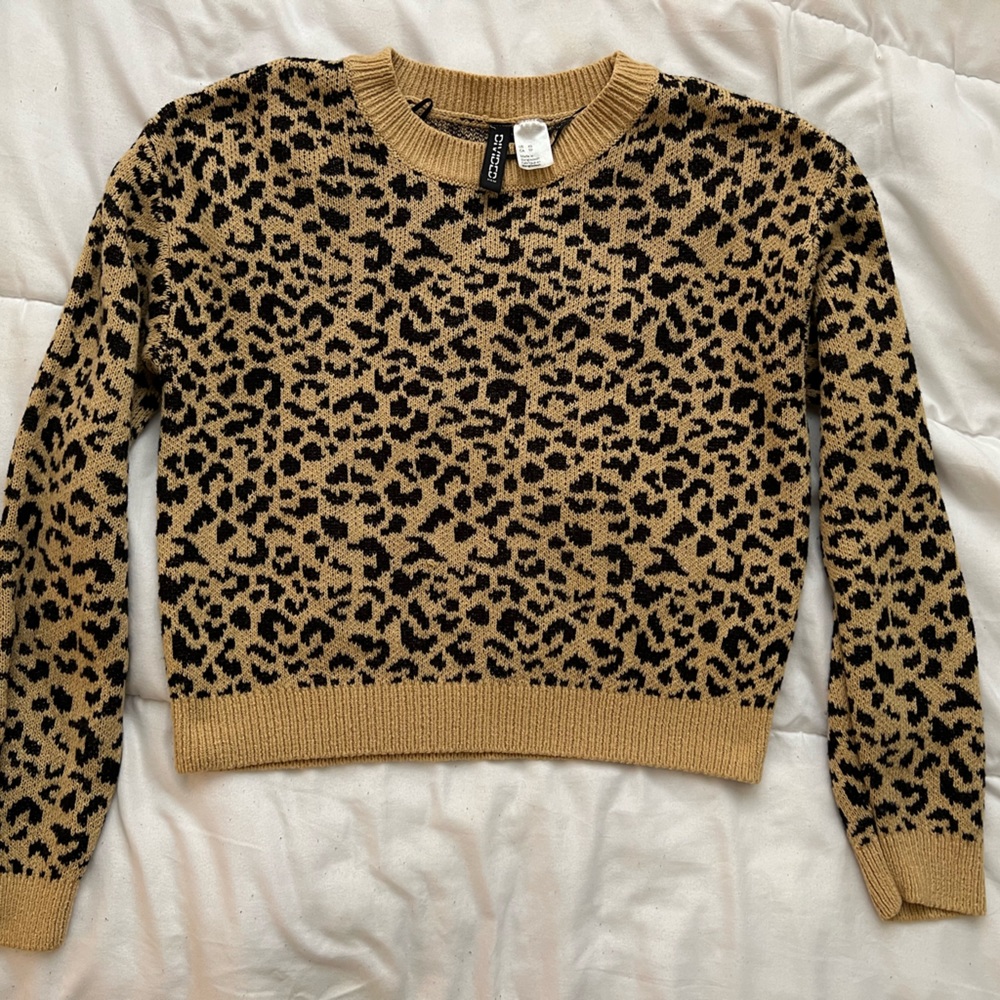H&M Cropped Cheetah Sweater